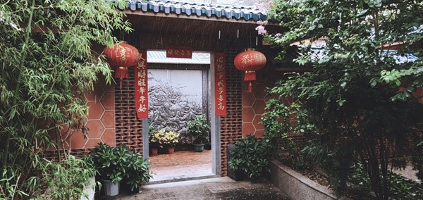 非凡一升突破未来vivonex测评,vivonex旗舰版详细评测