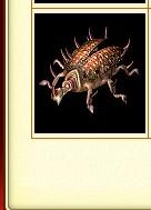 热血传奇极品装备,热血传奇中的那些经典的稀奇装备