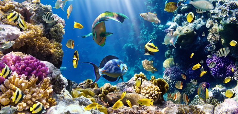 欧洲游路线推荐,欧洲经典旅游线路一览表