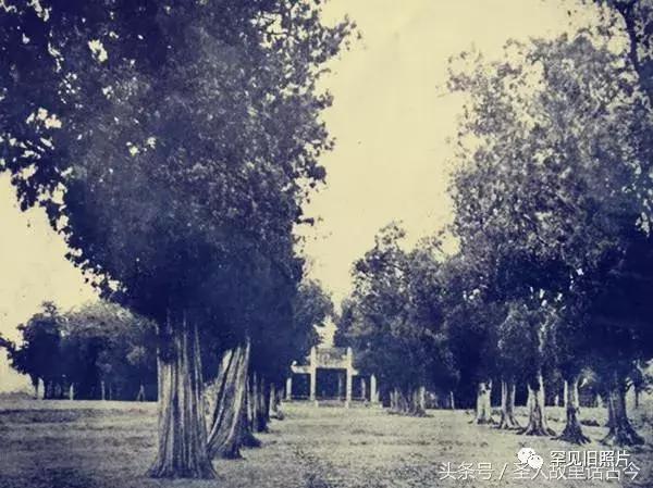 孔府孔林孔庙的高清图片,孔府孔庙孔林经典高清照片