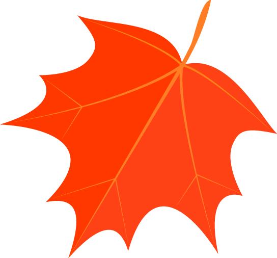 「优秀住院医师」孙晓彤：业精于勤，行成于思