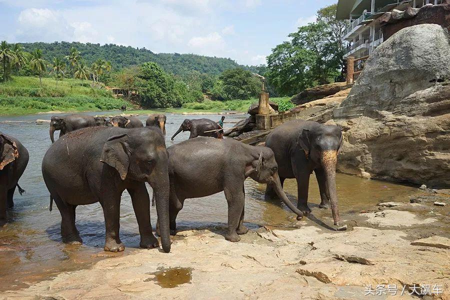 开学“B计划”之，印象斯里兰卡（一）！
