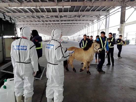 纪检人纪录片,纪检人真实视频