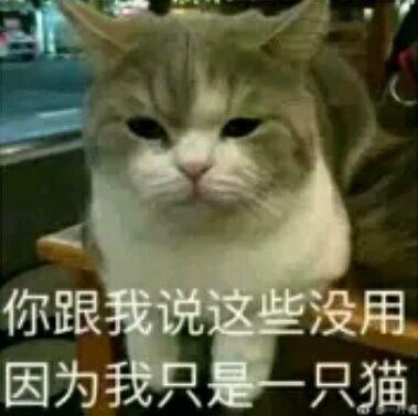 为什么青春痘会遗传呢,痘痘会不会感染病毒