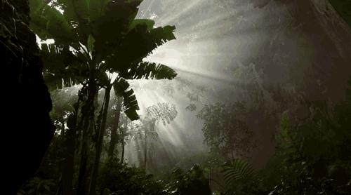 全城通告最新信息,全城通告在线播放