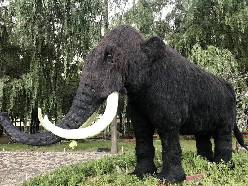 全城通告最新信息,全城通告在线播放