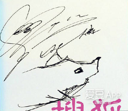 exo分享的视频,exo抽象画