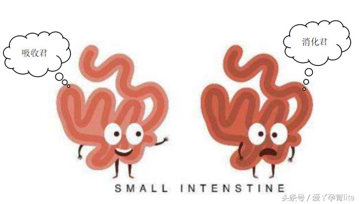 坐拥500吨美钞的发哥，拉的屎是不是金光闪闪的？