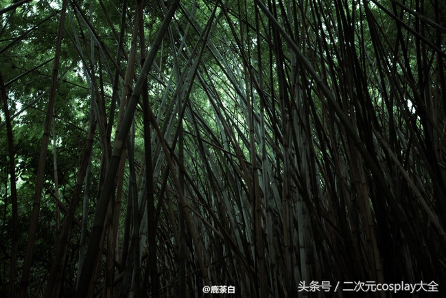 剑侠情缘网络版叁少林cos，温柔俊美，我居然有了种心动的感觉