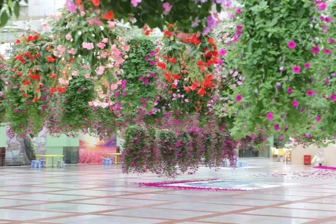 港真！劝你国庆千万别离开广州！因为……