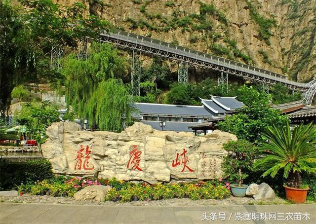 北京龙庆峡民宿,北京龙庆峡民宿第一名
