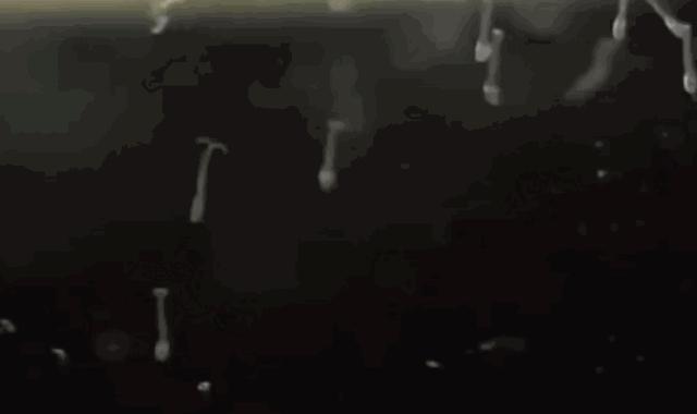 吃活物有寄生虫,吃活的虫子身体里有寄生虫