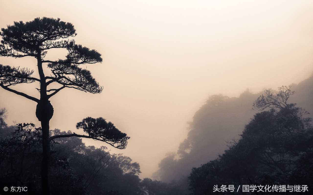 中华新韵十四韵讲解说明,中华新韵用十八韵好还是十四韵好