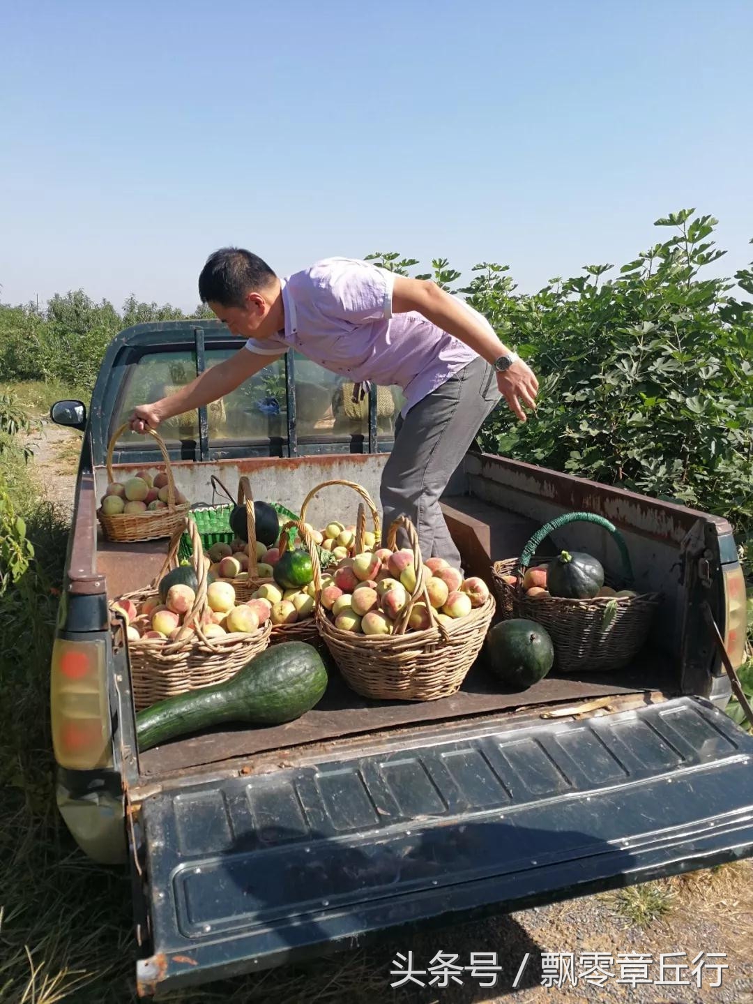 朱家峪附近采摘,章丘朱家峪摘油桃