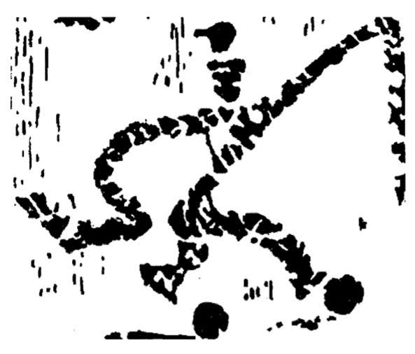 中国男足的技术怎么样,现在中国男足技术