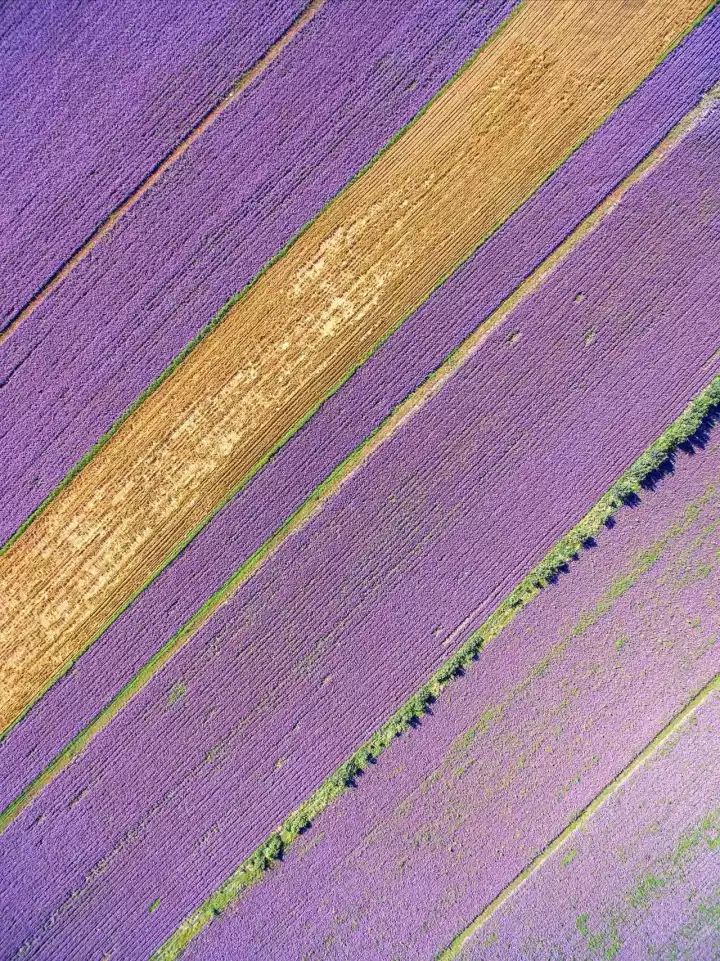 什么是中国传统文化,什么是中国文化