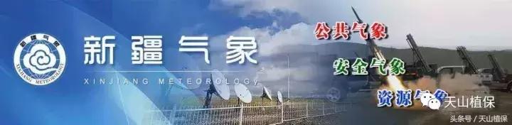 今日新疆籽棉价格行情走势,今日棉价新疆籽棉价