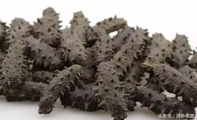海参产地大揭秘哪里海参最好,大连海参品牌前十名旺岛海参