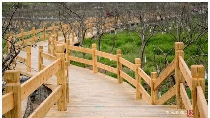 国庆大假成都周边哪里玩一天,成都绿道步行攻略都在这