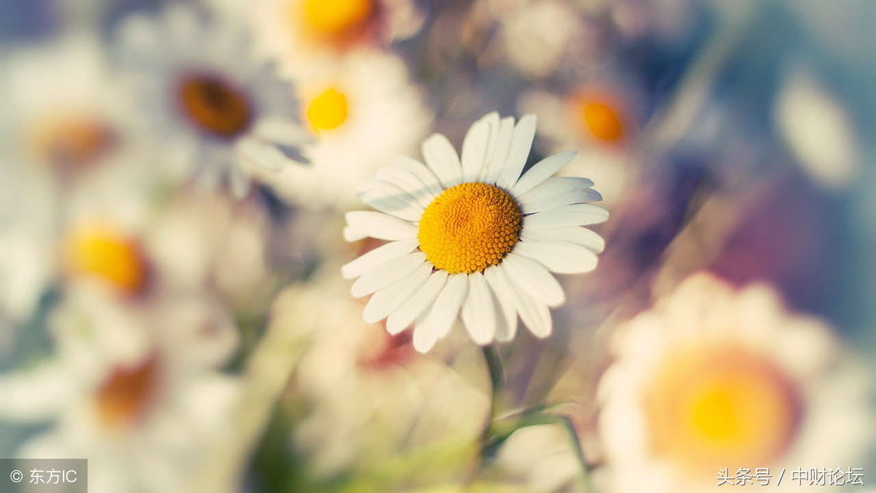 绉嬮娓╂煍娓呮柊,绉嬮娓呭喎