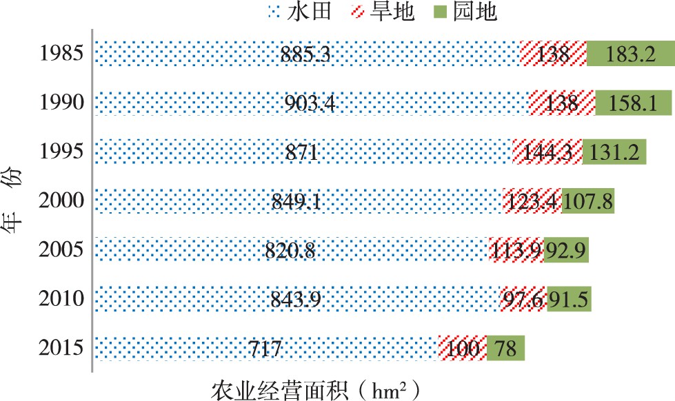 集落营农：小农的一种出路——以日本长野县饭岛町为例