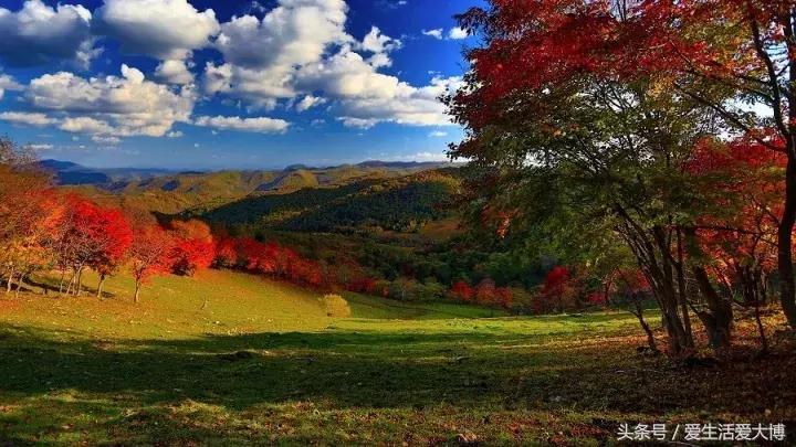 这个假期很美,这个假期的好去处