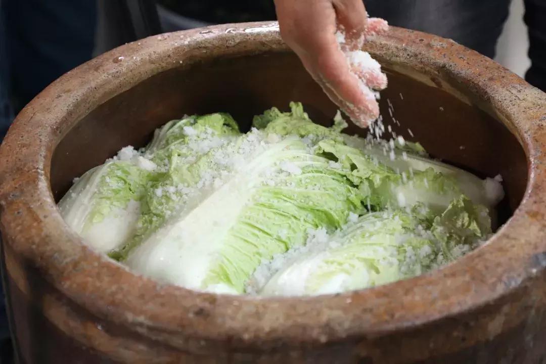 14种好吃的零食,中国最受欢迎十种小吃