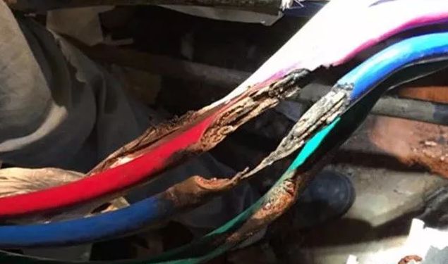 高层电表箱起火后果严重吗,电表箱起火怎么灭火