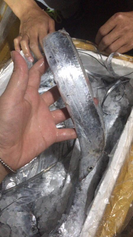 舟山旅游攻略买海鲜,舟山适合游客的海鲜市场