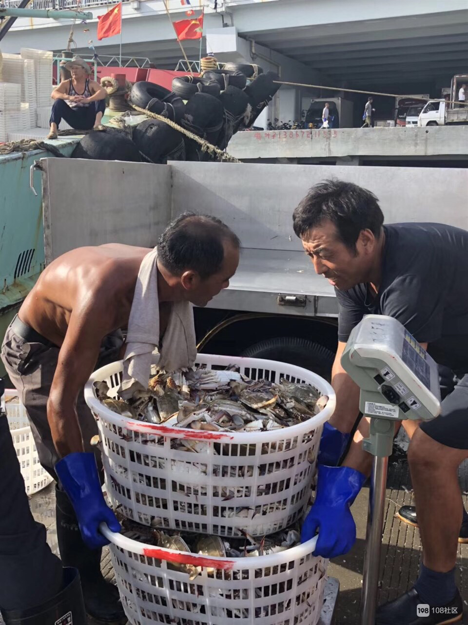 游客去舟山怎么买海鲜,舟山小白海鲜
