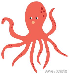 丹东大连鲅鱼圈自驾游,逛吃逛吃专列