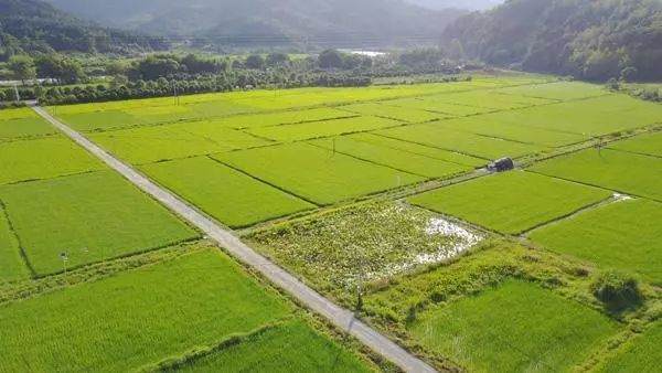 全国十大示范村名单,湖南100个农村特色示范村视频