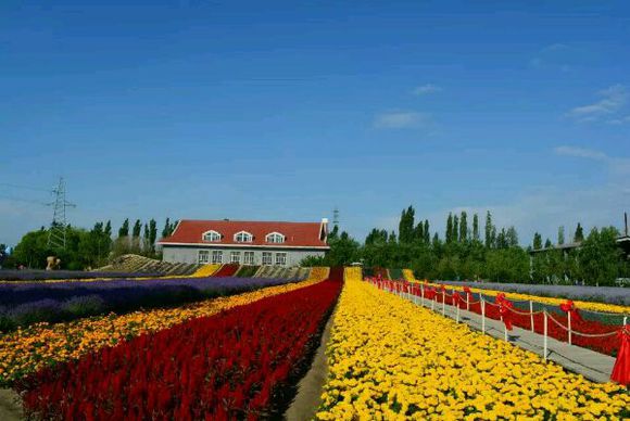 我的一周伊利穷游记