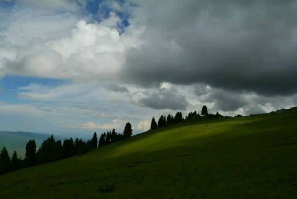 我的一周伊利穷游记