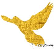 辽宁巅峰时期有多辉煌,几十年前的辽宁有多辉煌