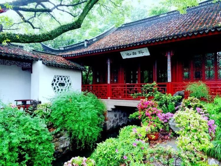 上海有个很美的公园,上海特别美而且安静的公园