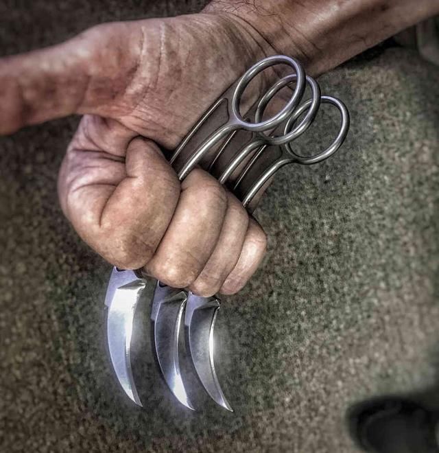 如果在丛林遭到猛虎袭击，给你5把*刀军**，你选哪个？