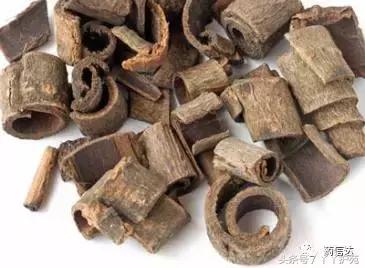 40味中药名称,50味中草药功效