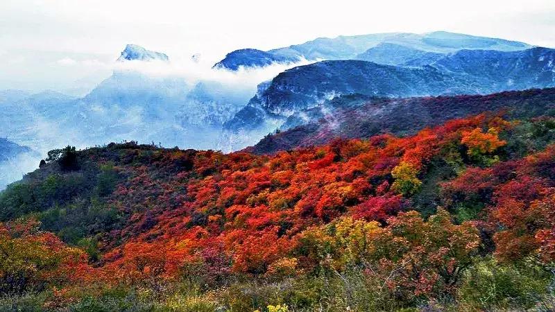 石家庄自驾九寨沟,石家庄小九寨沟在什么地方