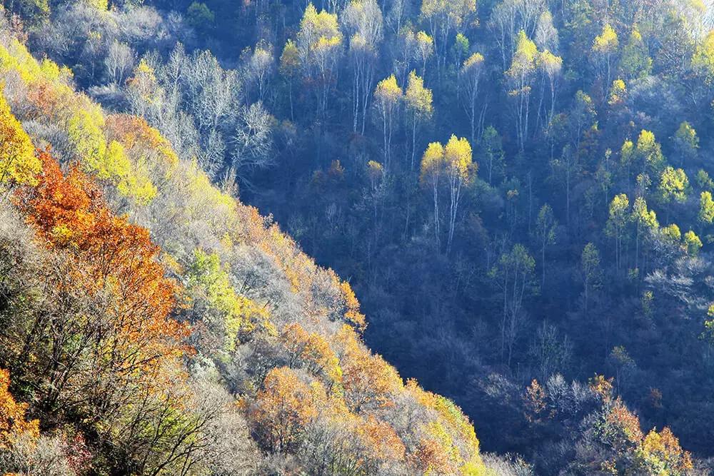 石家庄自驾九寨沟,石家庄小九寨沟在什么地方
