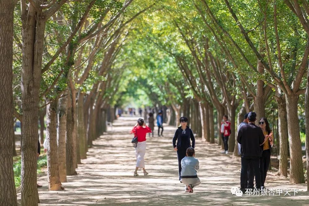 国庆假期去哪玩？邳州这6处景点少走一处都是遗憾！