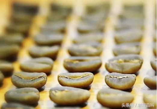 小白如何在咖啡馆点咖啡?常见菜单里咖啡种类讲解