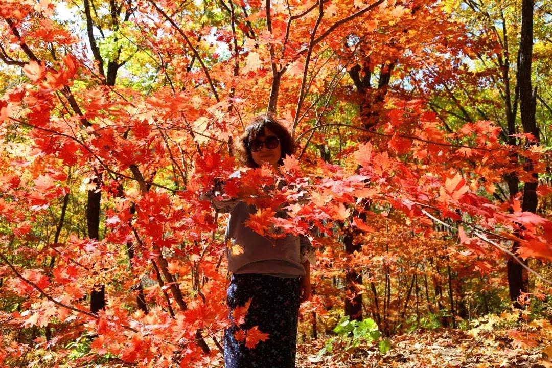 云南一天的游客人流量,云南人多的景点怎么拍照