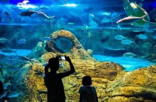 出去人从众,玄武为你安排了身边的风景