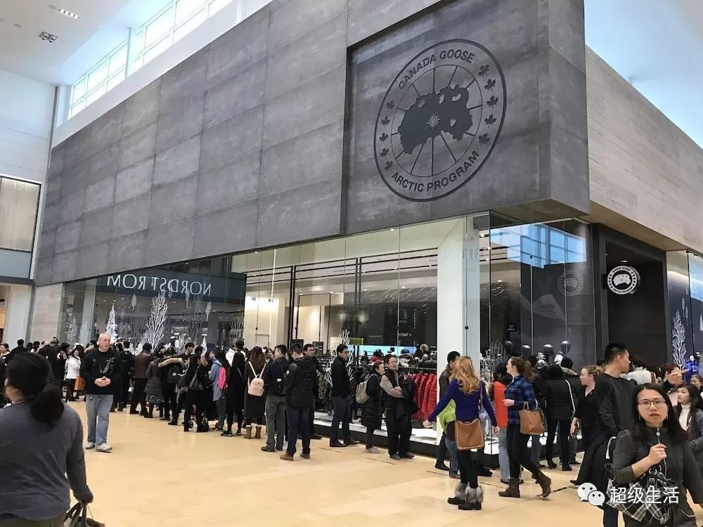 加拿大鹅卖假货,加拿大鹅打架事件