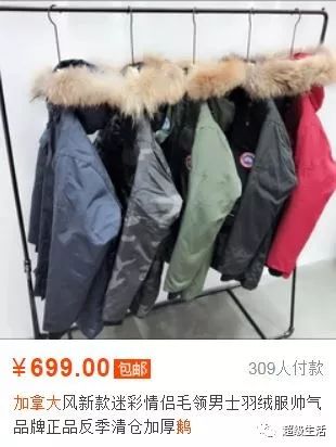 加拿大鹅卖假货,加拿大鹅打架事件