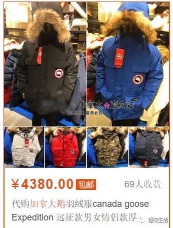 加拿大鹅卖假货,加拿大鹅打架事件