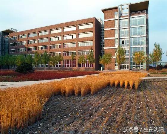 沈阳三十二所高校都有什么,沈阳高校一览表