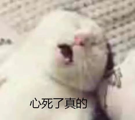 纪梵希2019圣诞28色,纪梵希2018圣诞节限定高光