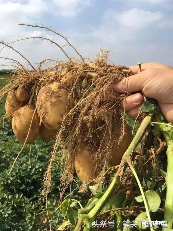 会宁学子求学故事,会宁学子事迹